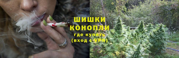 молекула духа Покачи