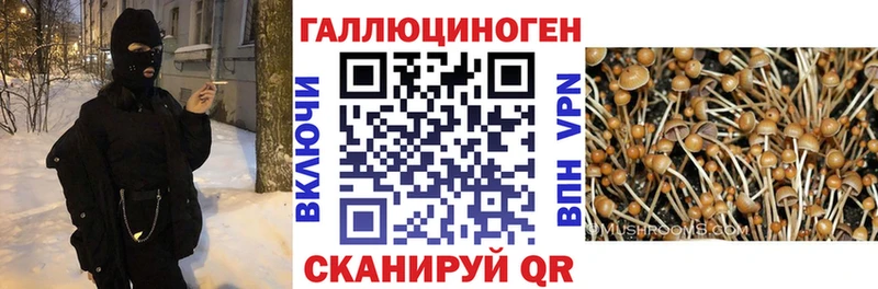Псилоцибиновые грибы ЛСД  Арск 
